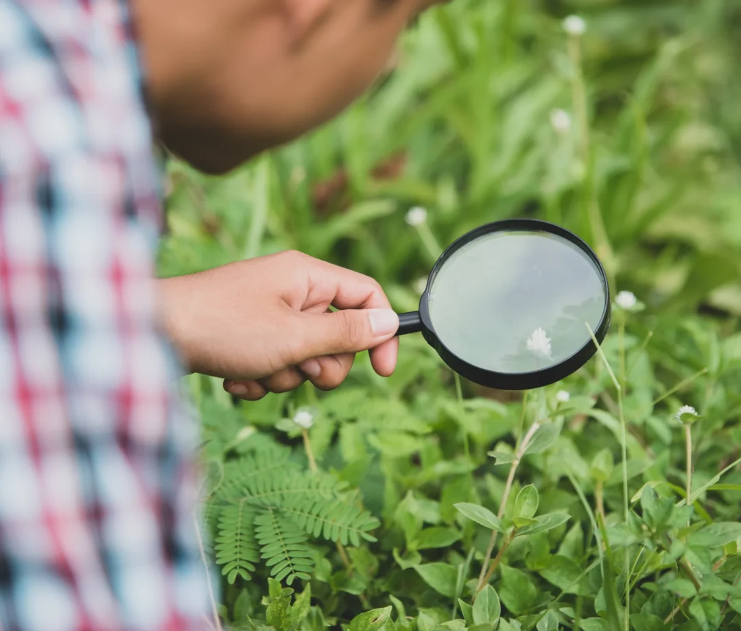 asian-boy-science-education-class