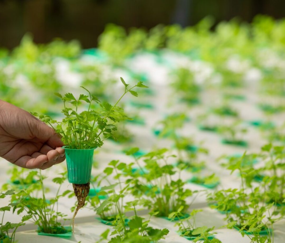 self farming